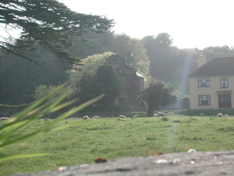 Ruins of Beamish estate.jpg 356.9K